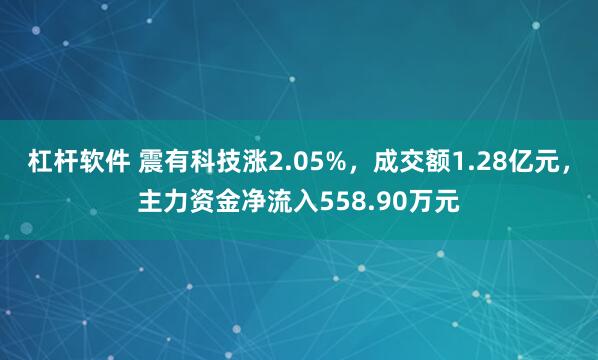 杠杆软件 震有科技涨2.05%，成交额1.28亿元，主力资金净流入558.90万元